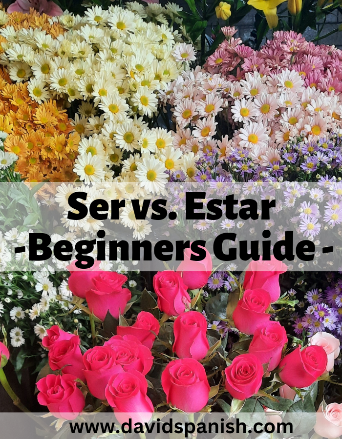 Ser vs estar: Beginners guide.